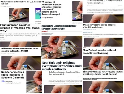 Lindsey Wasson  collage of 12 articles using the same image